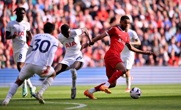 为球队提供 为球队提供